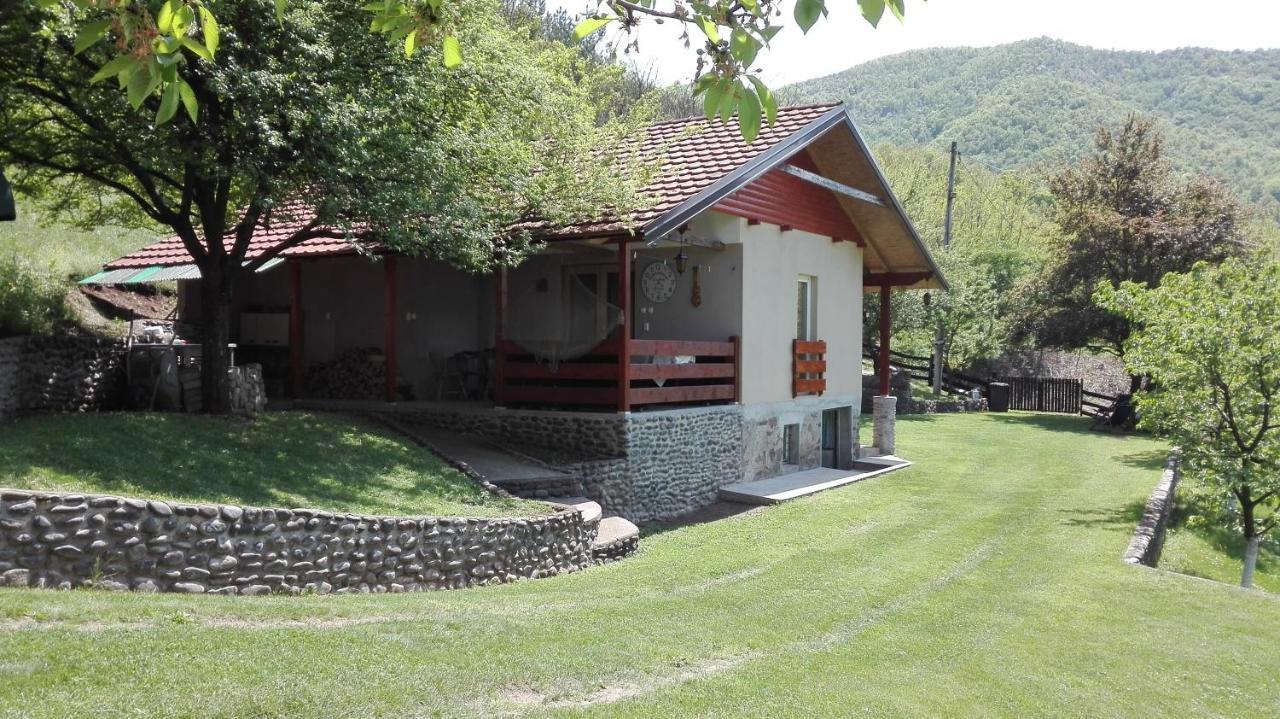 Vikend Kuca Maksimovic Βίλα Mataruska Banja Εξωτερικό φωτογραφία